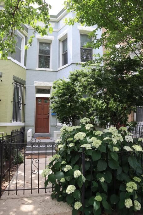 3-Bedroom House With Cute Patio Explore Dc On Foot Washington Eksteriør billede