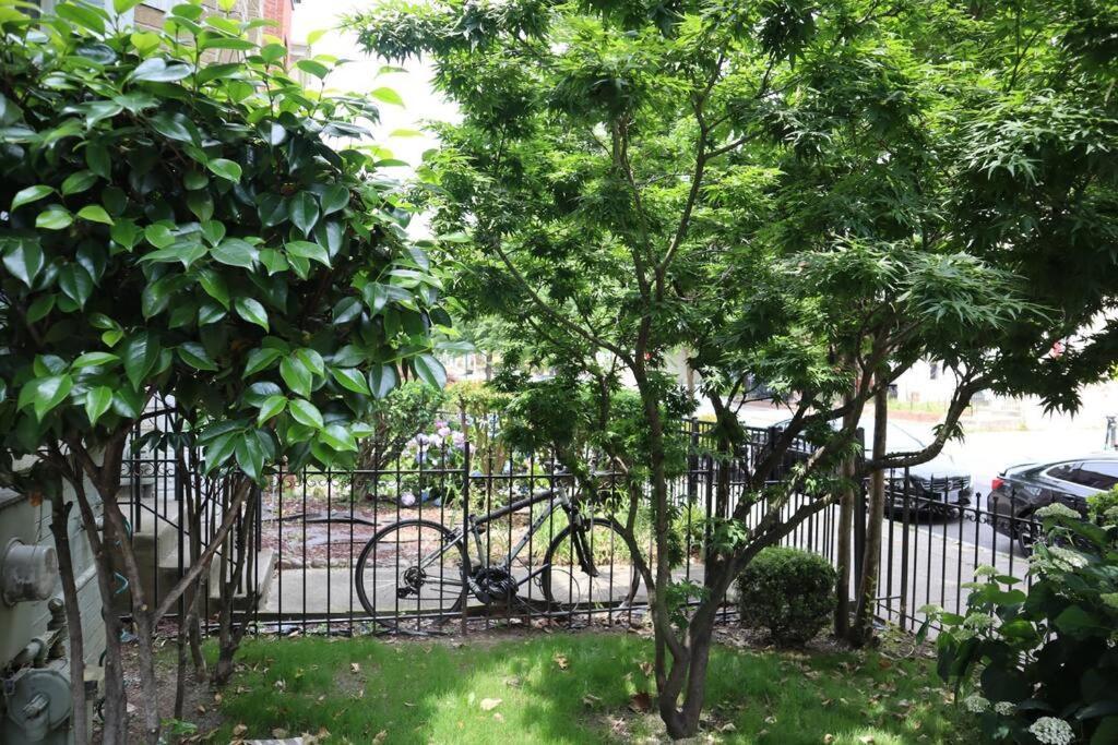 3-Bedroom House With Cute Patio Explore Dc On Foot Washington Eksteriør billede